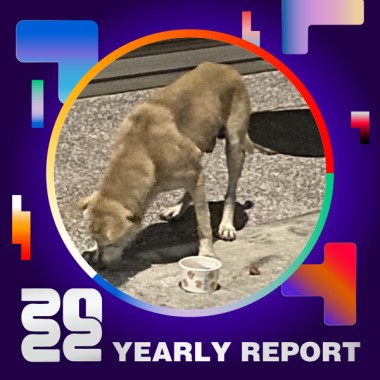 2022 個人年度精選