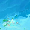 小棠珍藏