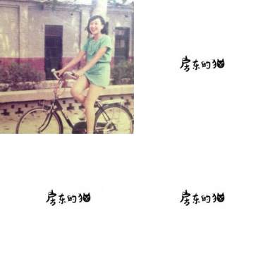 房東的貓