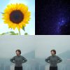 謝芊彤 謝芊蕾