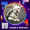 2022 個人年度精選