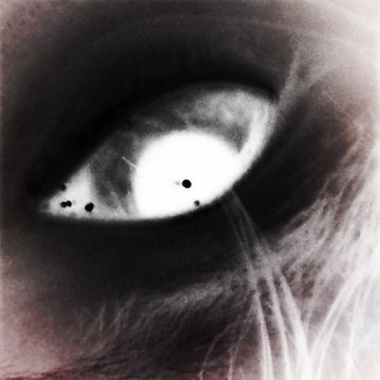 那我懂你意思惹