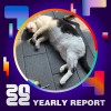 2022 個人年度精選