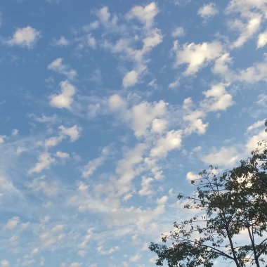 天氣好ㄉ時候?