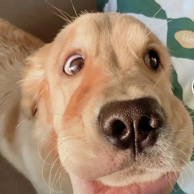 王暈眩的