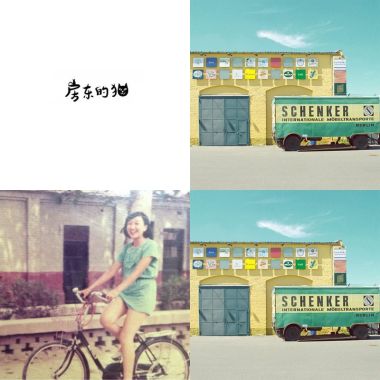 房東的貓