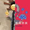 人馬一體進行曲