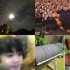 张震岳