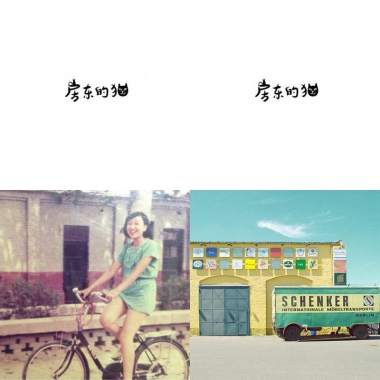 房東的貓