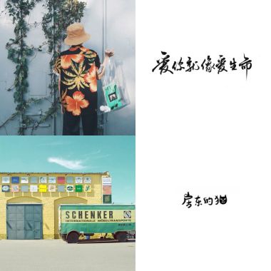 我的歌單  