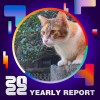 2022 個人年度精選