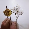 情緒承載思緒