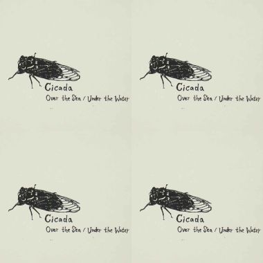Cicada-Over the sea