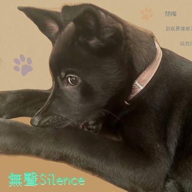 無聲
