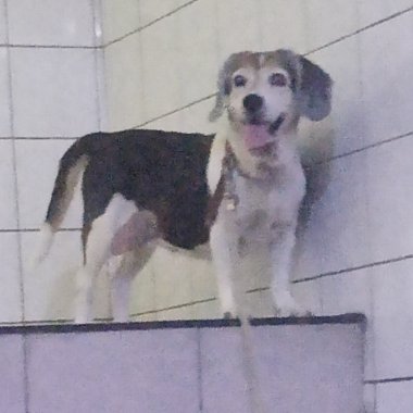 王之佑