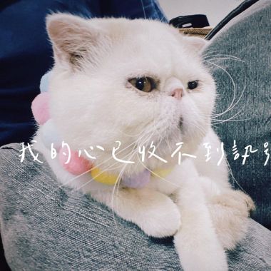 讚讚01