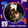 2022 個人年度精選