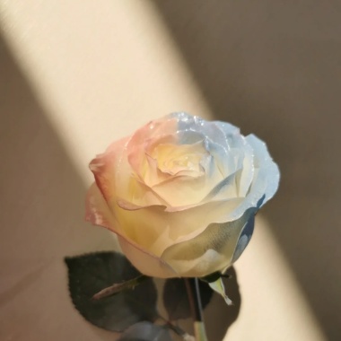 嘻哈情歌