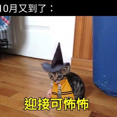 讚ㄌ