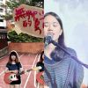 我的歌單