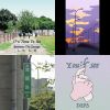 太強了吧