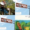 woodywoody