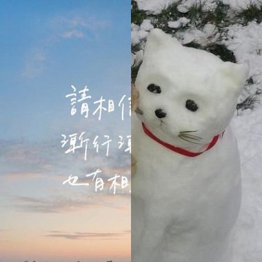 我的歌單 1