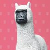 [鐵觀音]