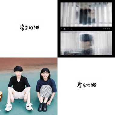 房東的貓