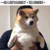 悠閒歌單