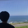 需要平靜