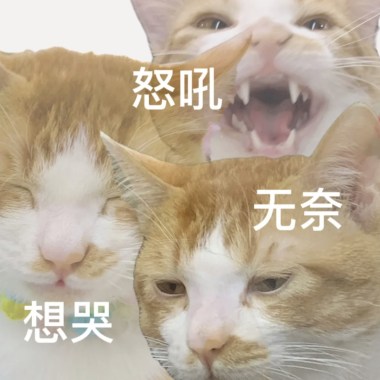 社畜加油站，打工人港湾