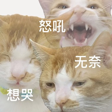 社畜加油站，打工人港湾