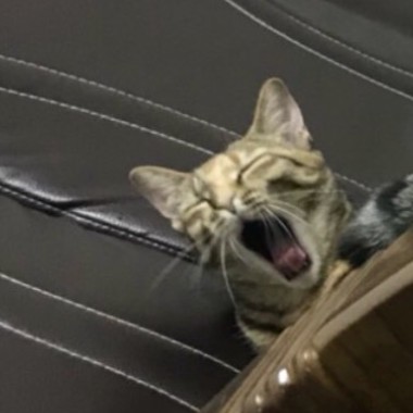 26
