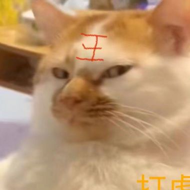 喜
