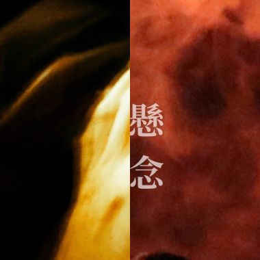 康庭瑋