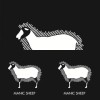 manic sheep