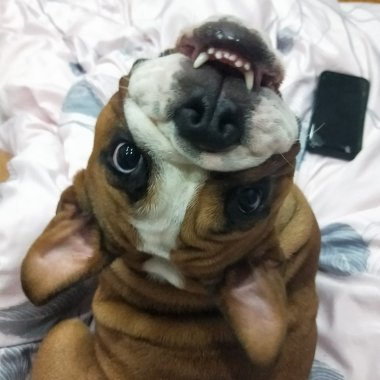 我的歌單