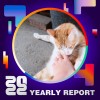 2022 個人年度精選