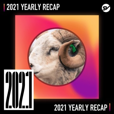 2021 個人年度精選之最