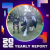 2022 個人年度精選