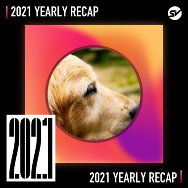 2021 個人年度精選之最