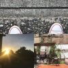 梗