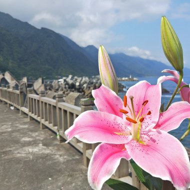 靈魂深處的空虛、寂寞、荒唐。