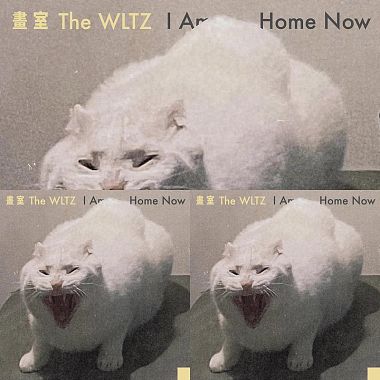 畫室 The WLTZ