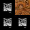 昆蟲白 insecteens