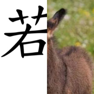 女生唱的歌