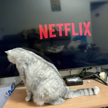 讚
