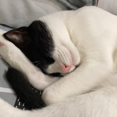 NYA