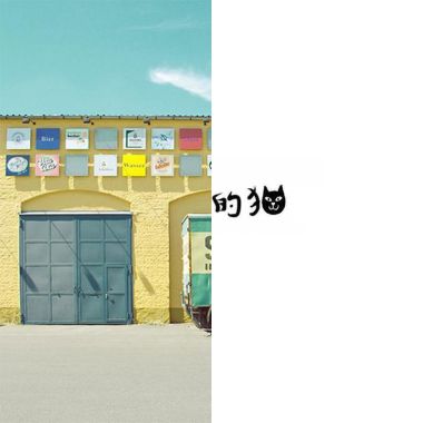 房東的貓
